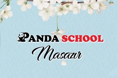 Panda School Masazır
